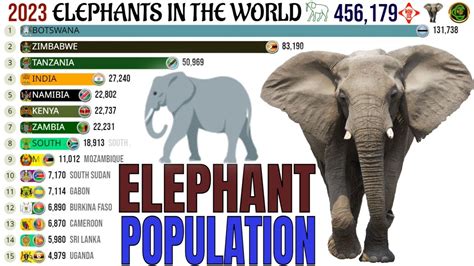 Countries with Elephants 2024 .